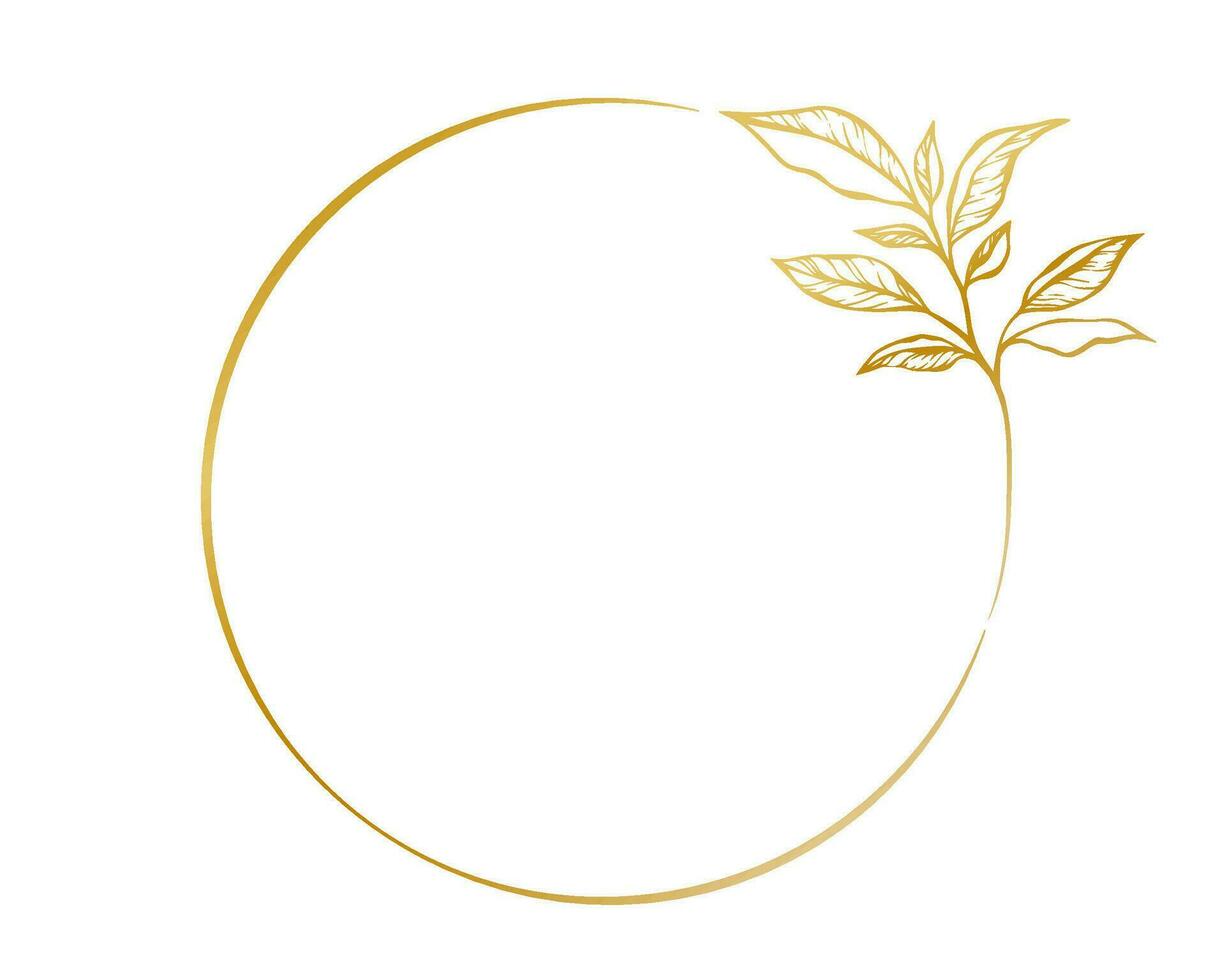 Botanical golden circle frame. Hand drawn round line border, leaves and flowers, wedding invitation and cards, logo design, social media and posters template. Elegant minimal style floral vector