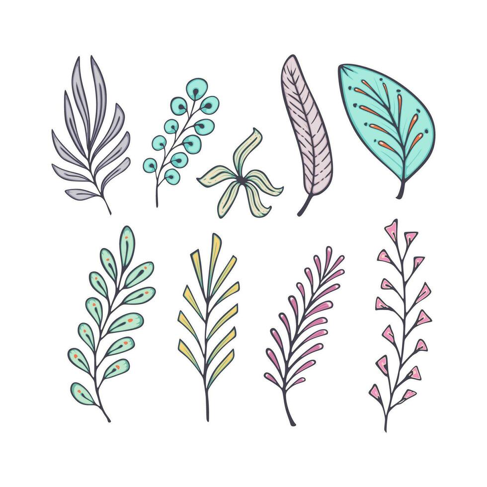 vector diseño conjunto de ornamento hoja plantas