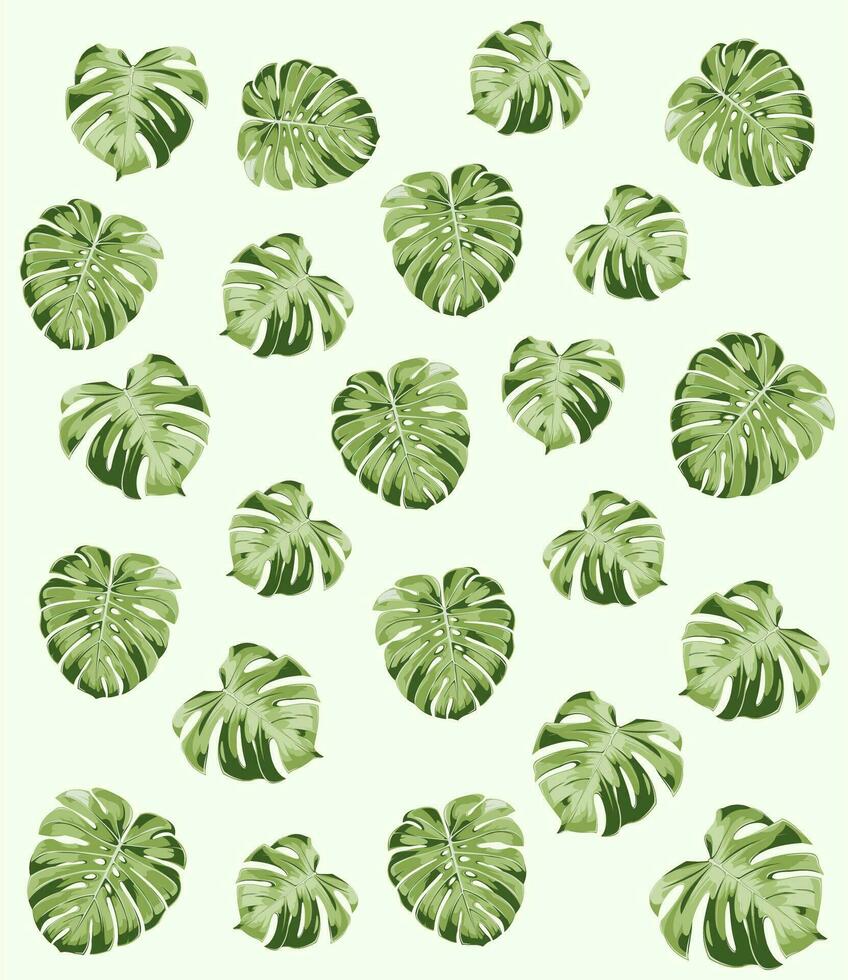 Green leaf monstera background pattern vector