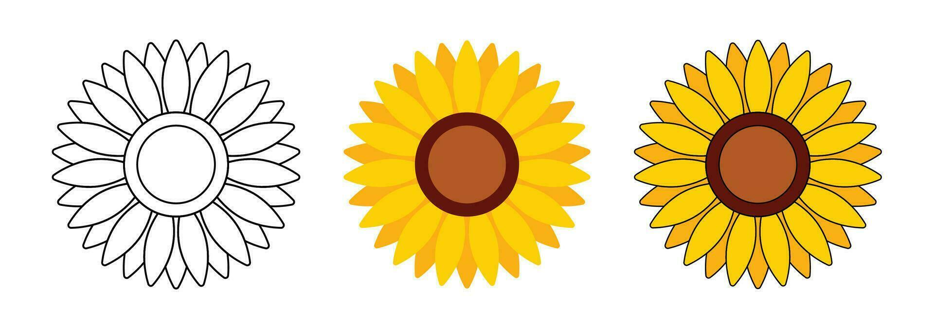 Sunflower head illustration for greeting card decorative and design. vector