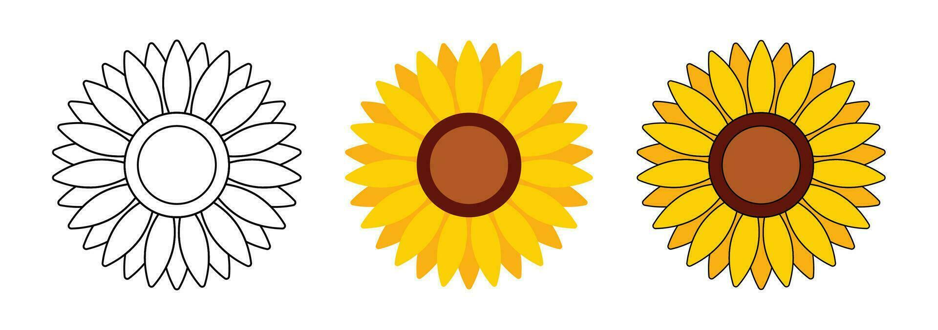 Sunflower head illustration for greeting card decorative and design. vector