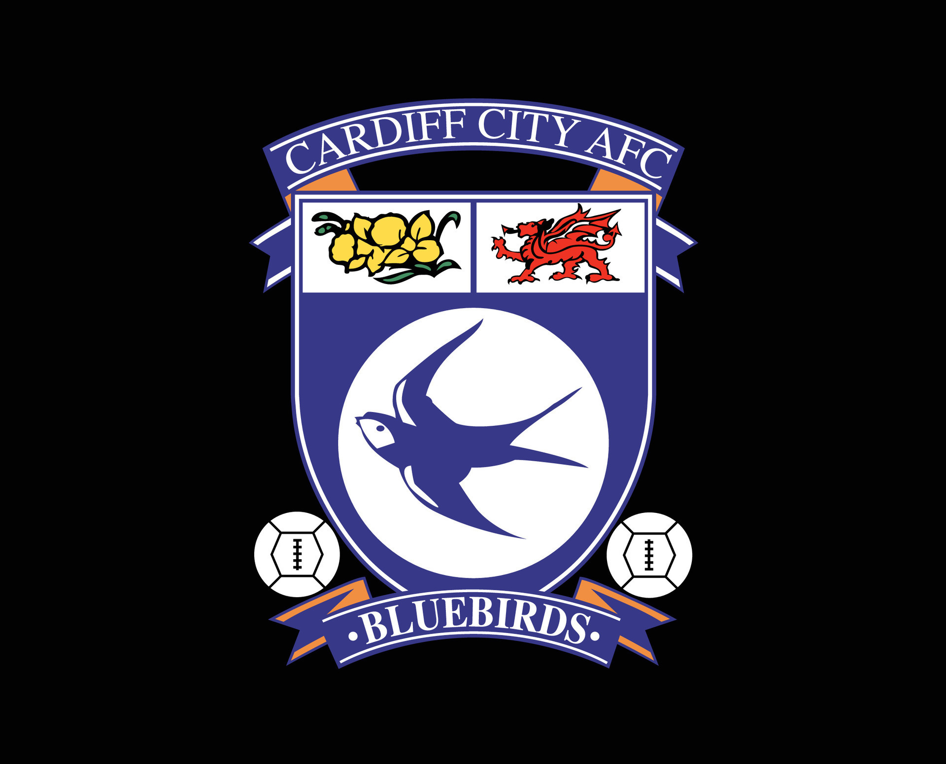 Cardiff City Concept - Football Crests