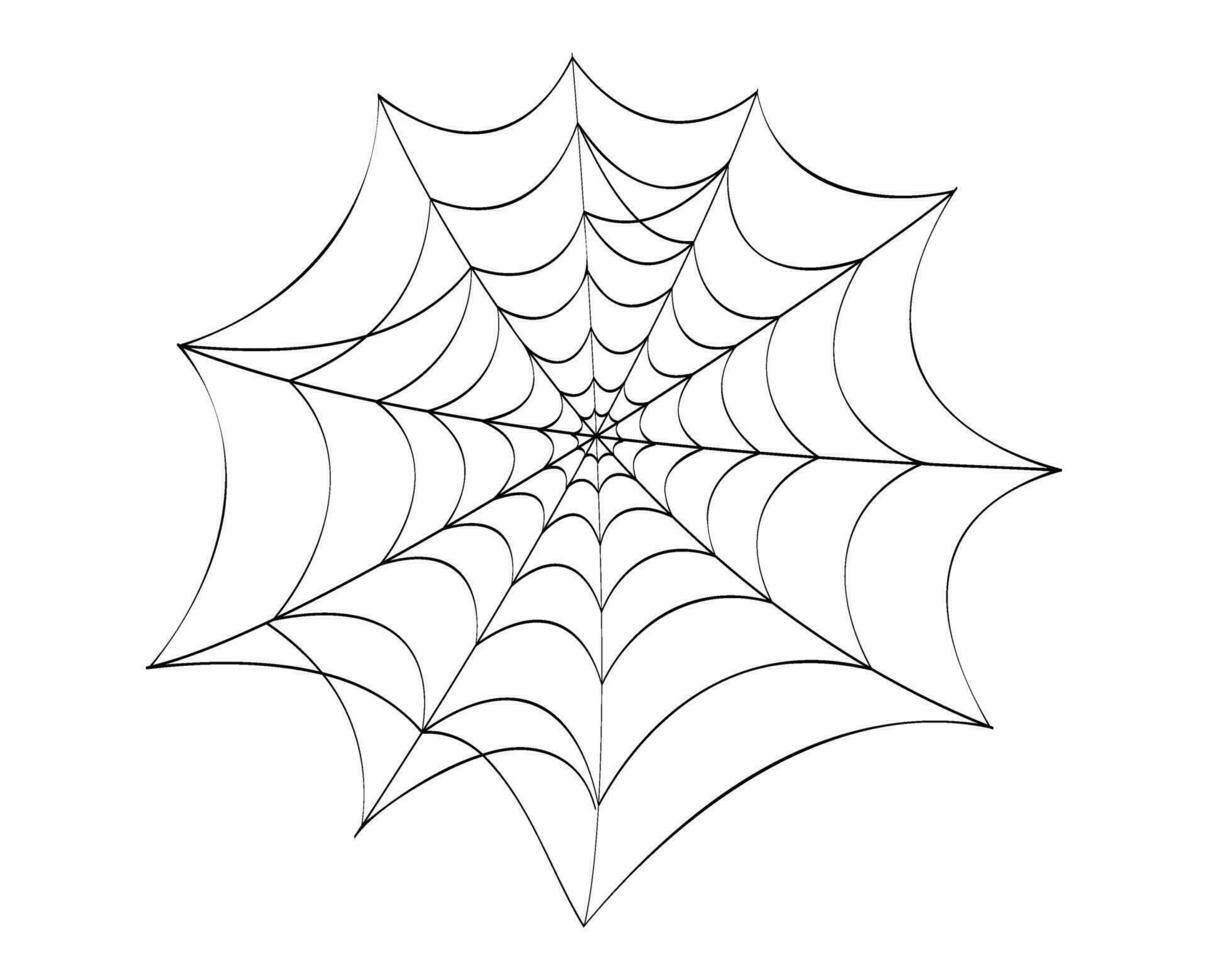 Spider web cobweb Halloween clip art vector illustration