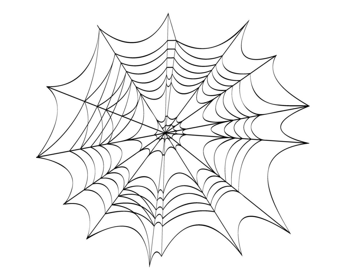 Spider web cobweb Halloween clip art vector illustration