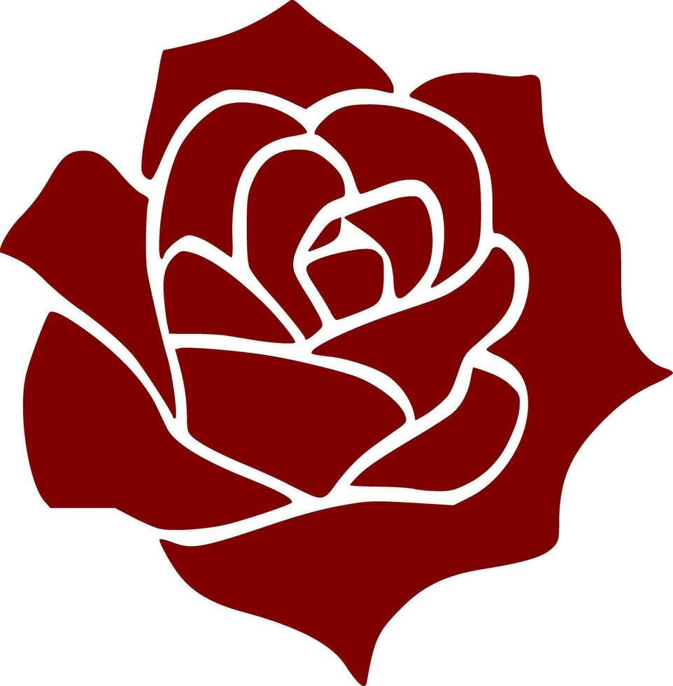 vector illustration of rose flower on white background