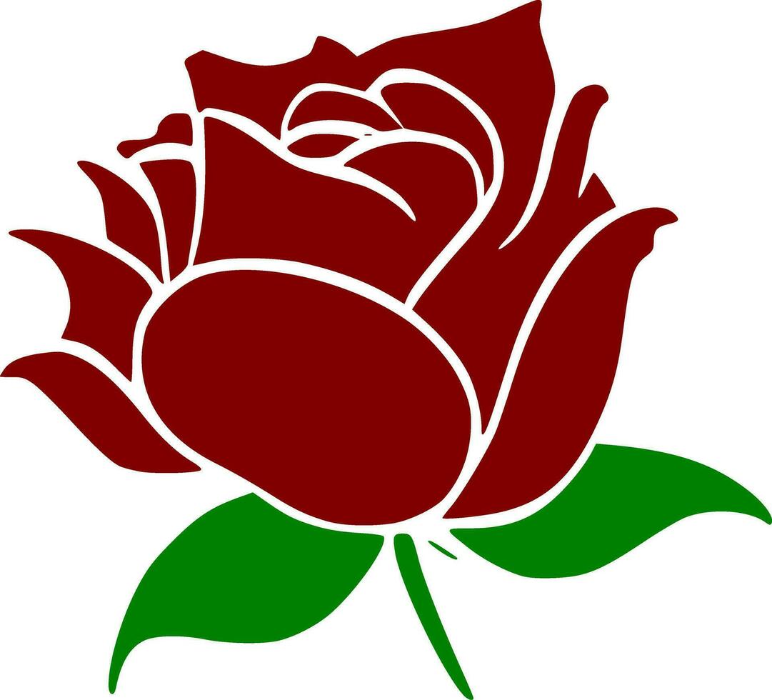 vector illustration of rose flower on white background