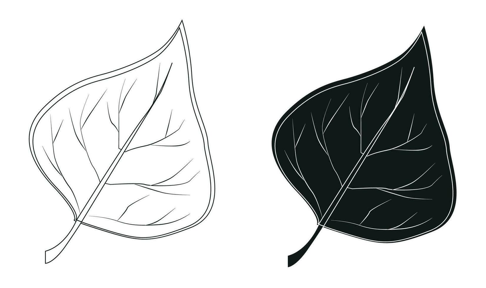 leaf from a tree in black and white vector