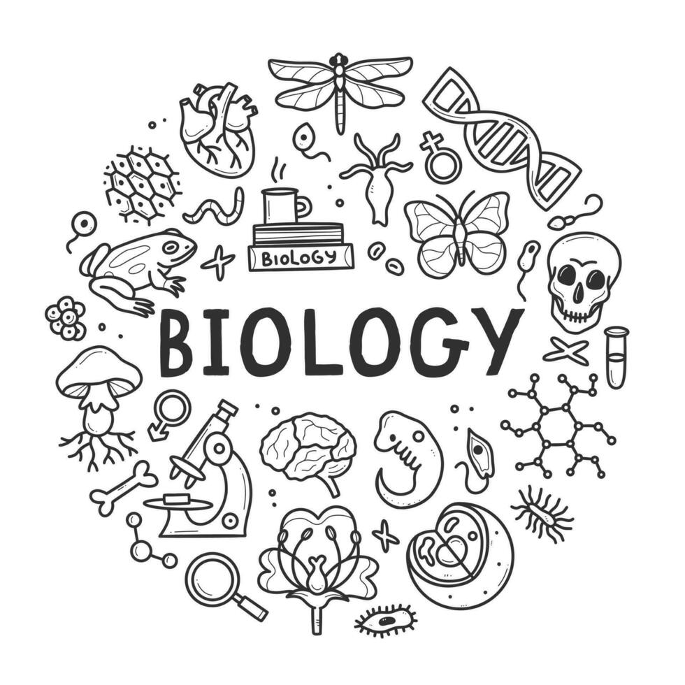 Biology doodle set. Collection of black and white hand drawn elements science biology circle shape. Vector illustration isolated on a white background