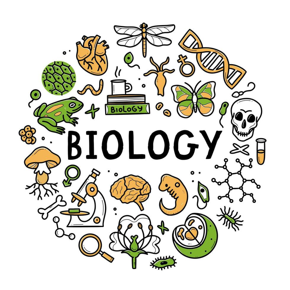 Biology doodle set. Collection of hand drawn elements science biology circle shape. Vector illustration isolated on a white background