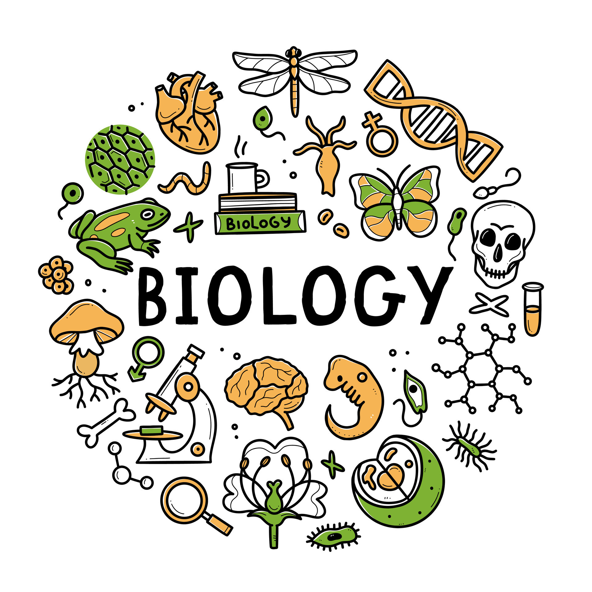Biology Artwork biology-artwork