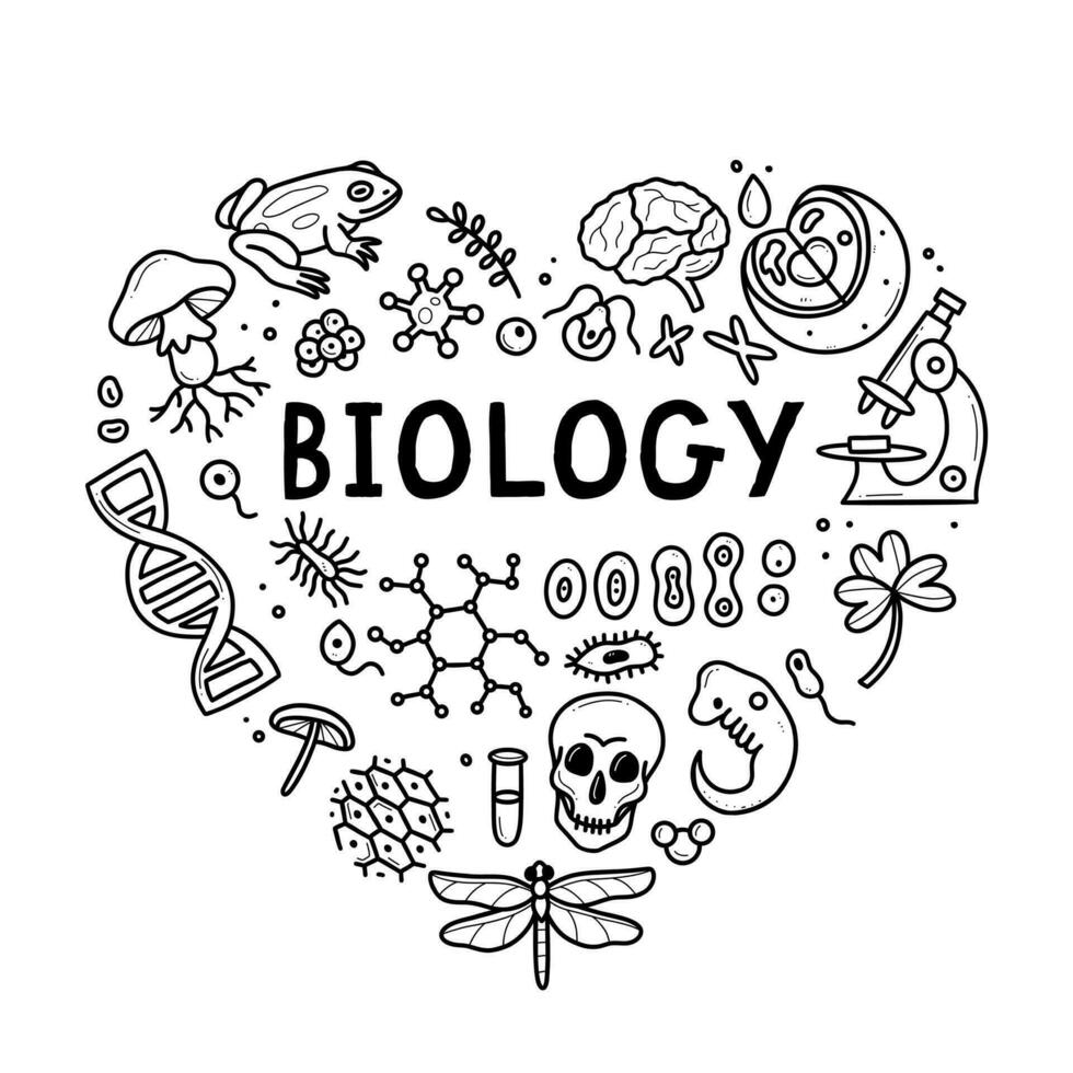 Biology doodle set. Collection of black and white hand drawn elements science biology heart shape. Vector illustration isolated on a white background.