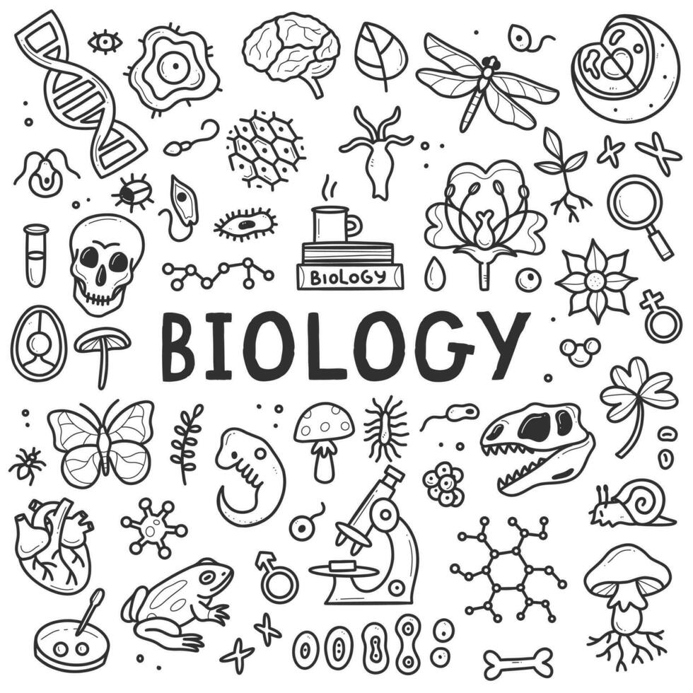 Biology doodle set. Collection of black and white hand drawn elements science biology. Vector illustration isolated on a white background