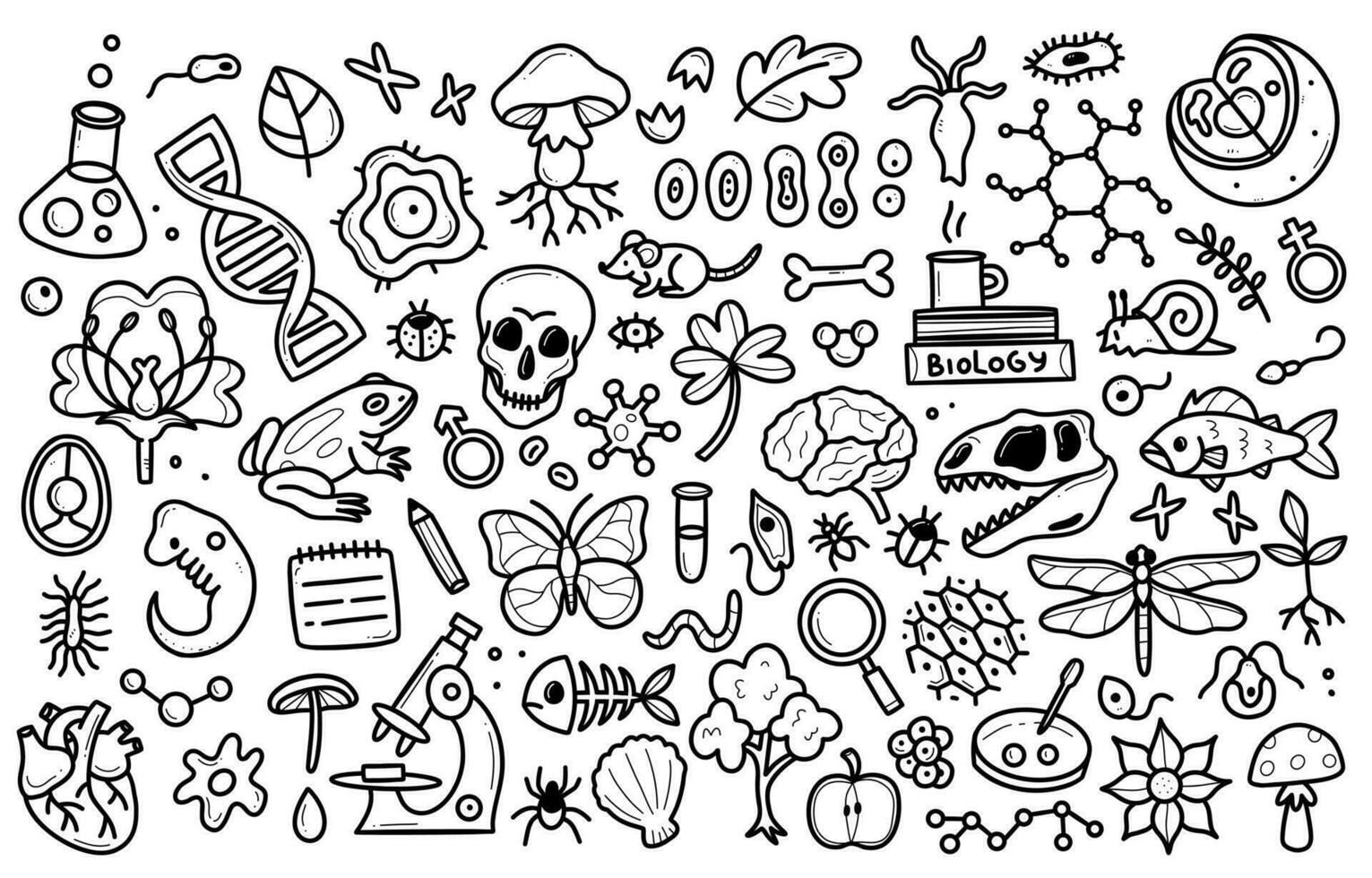 Biology doodle set. Collection of black and white hand drawn elements science biology. Vector illustration isolated on a white background