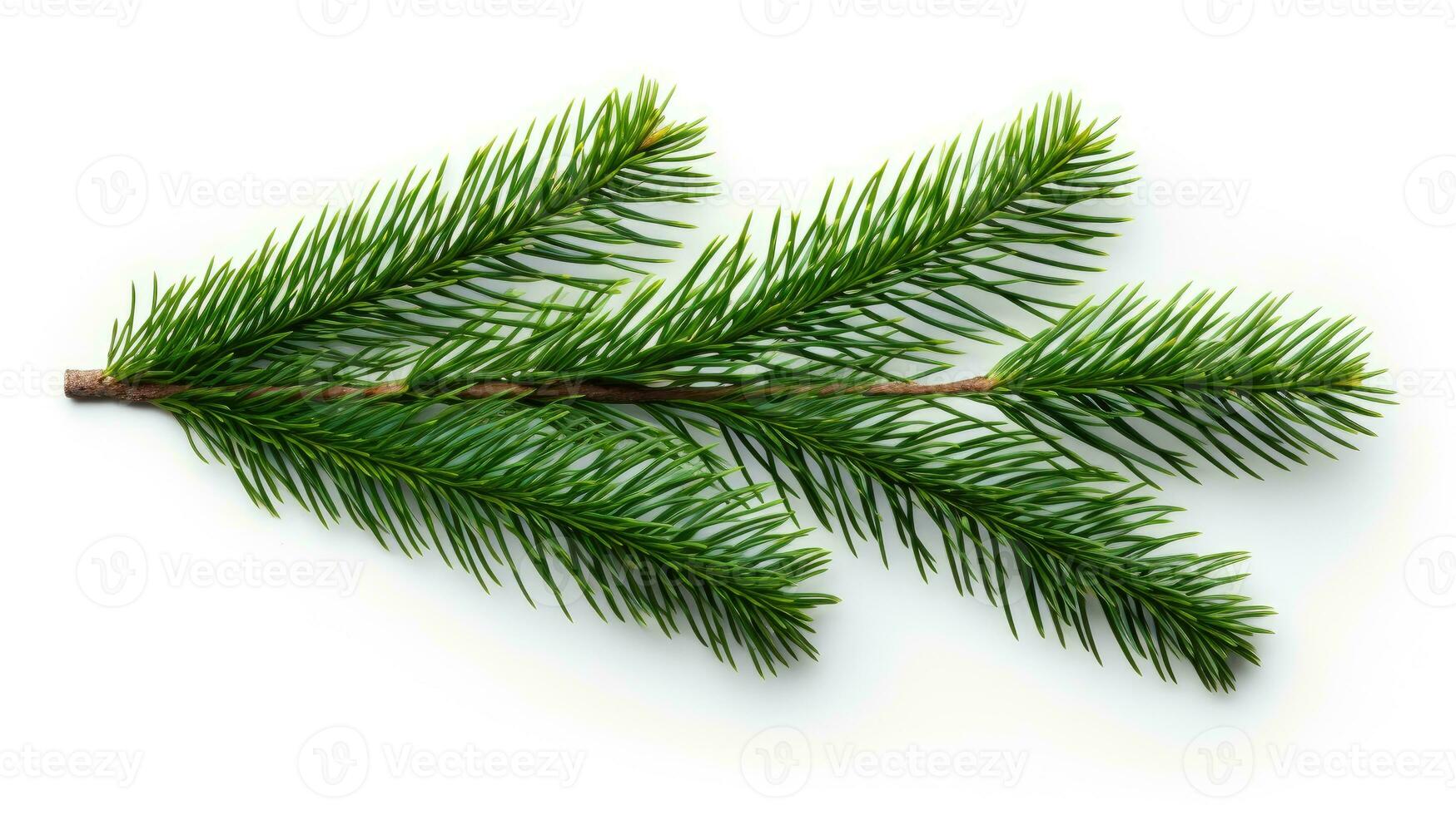 Pine branch isolated on white background. Fir tree branch isolated on white created with Generative Al technology photo