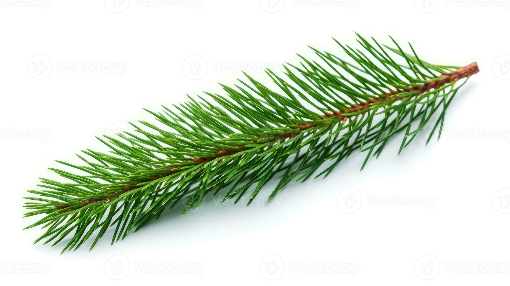 Pine branch isolated on white background. Fir tree branch isolated on white created with Generative Al technology photo