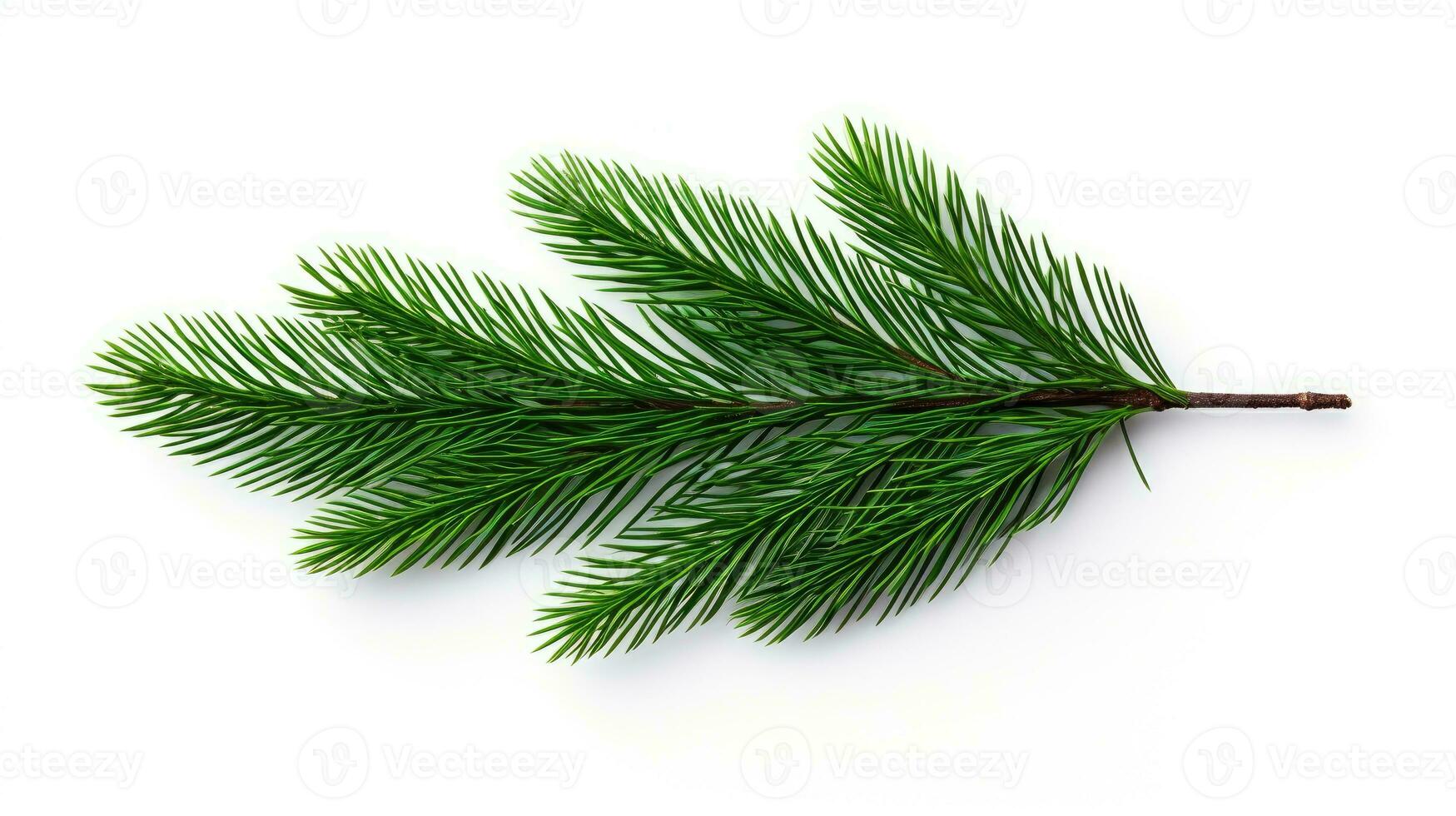 Pine branch isolated on white background. Fir tree branch isolated on white created with Generative Al technology photo