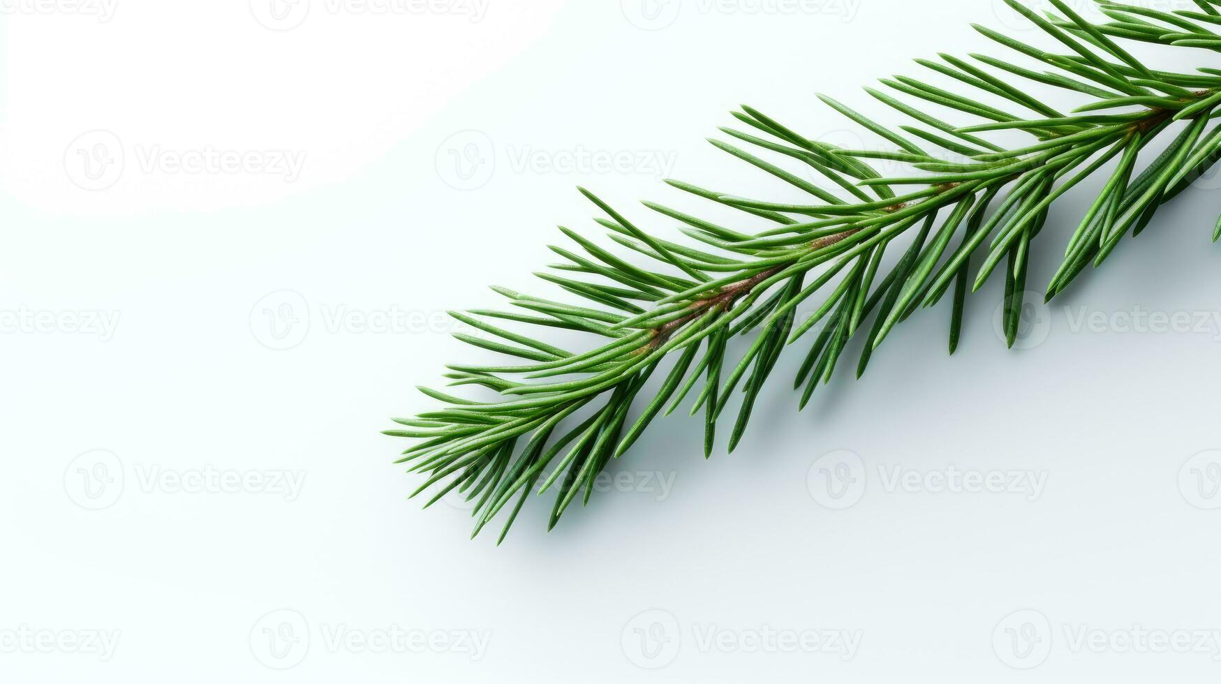 Pine branch isolated on white background. Fir tree branch isolated on white created with Generative Al technology photo