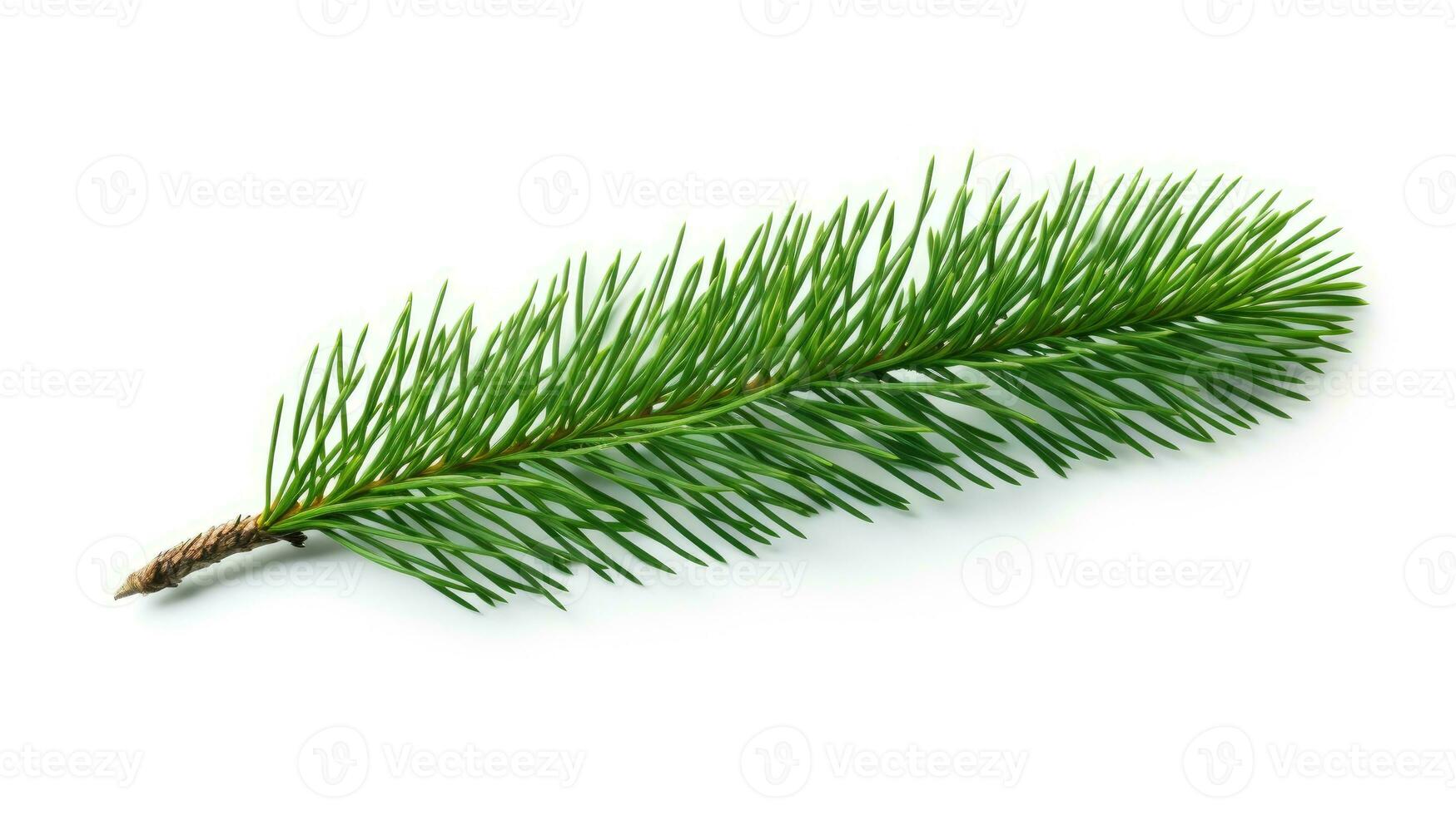 Pine branch isolated on white background. Fir tree branch isolated on white created with Generative Al technology photo
