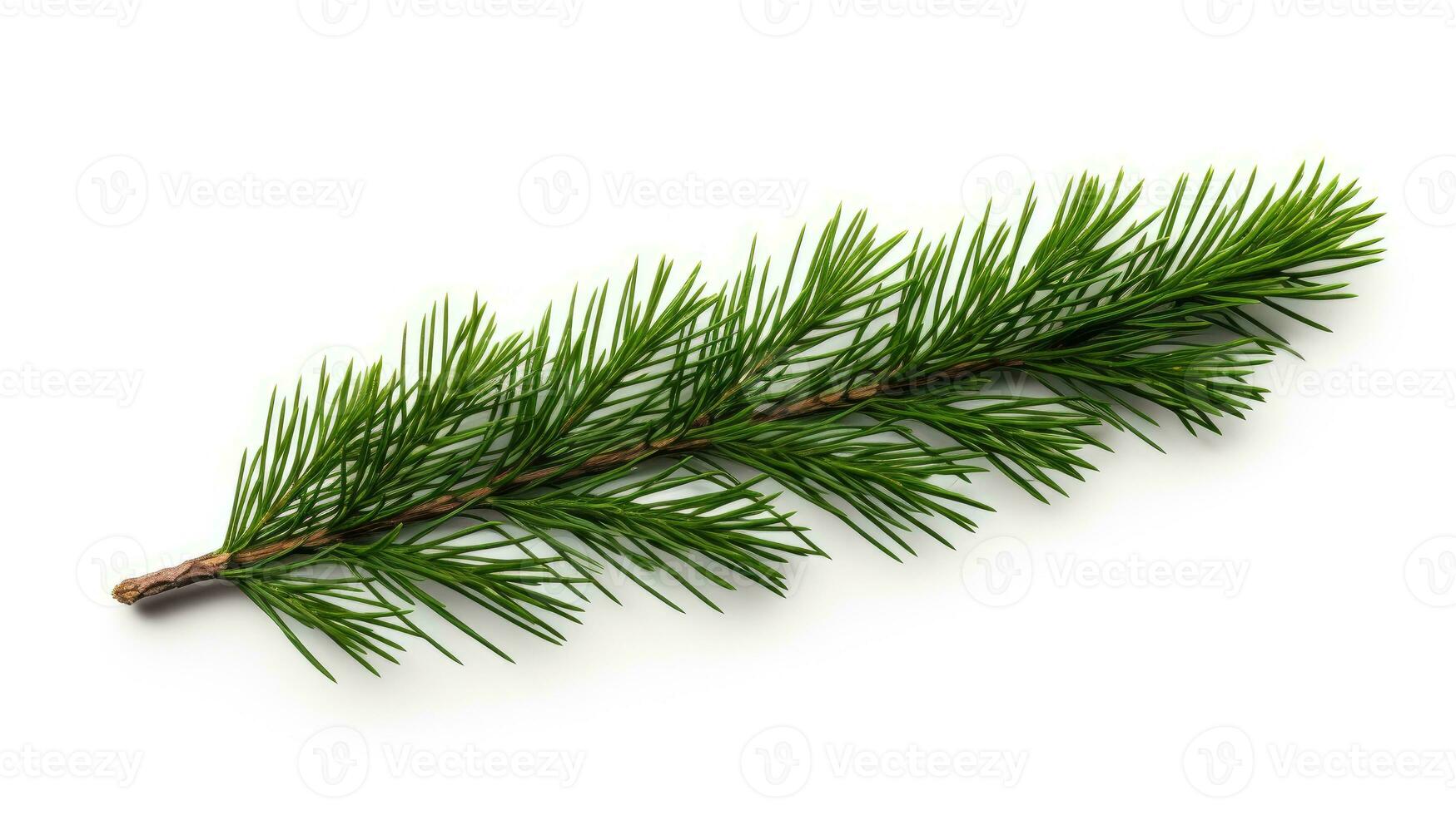 Pine branch isolated on white background. Fir tree branch isolated on white created with Generative Al technology photo