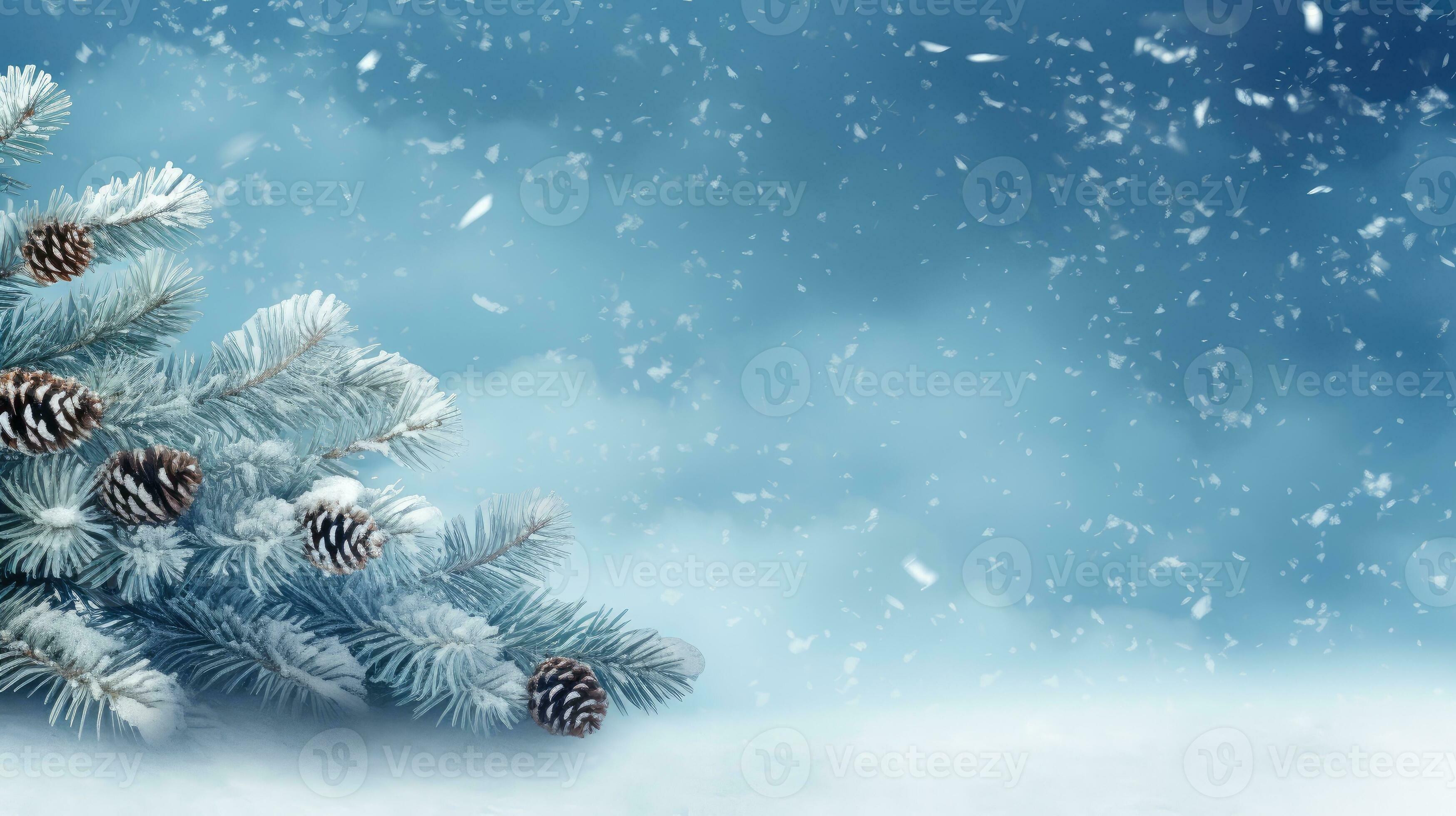 Winter background of snow and frost with pine trees, free space