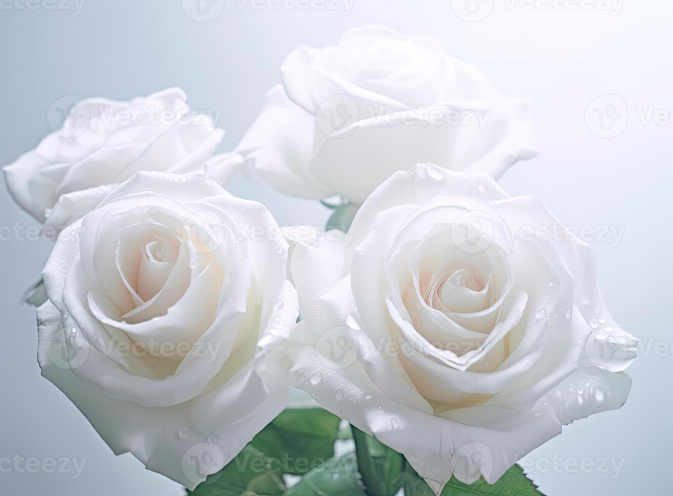 White roses bouquet, white roses close up created with technology photo