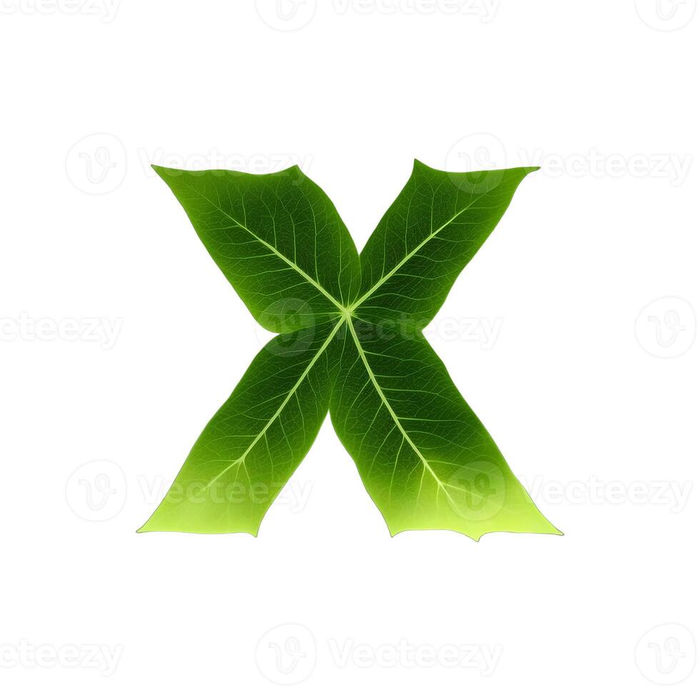 Green leaf typography text design lowercase alphabet x, photo