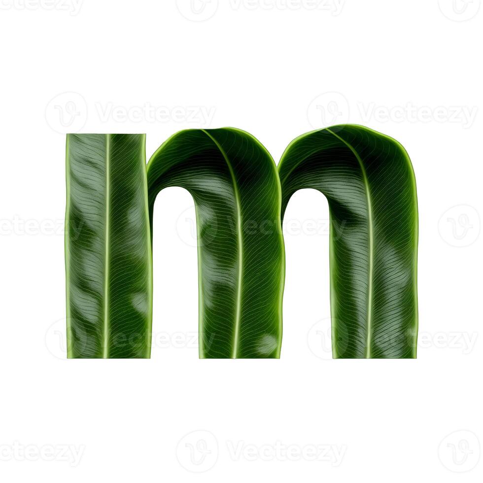 Green leaf typography text design lowercase alphabet m, photo