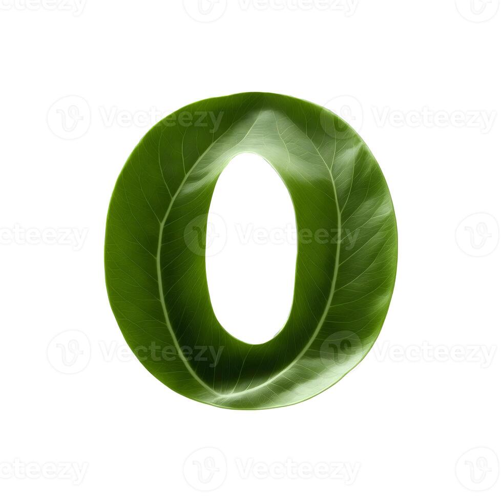 Green leaf typography text design uppercase alphabet O, photo