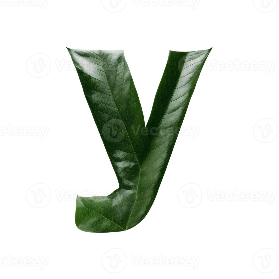 Green leaf typography text design lowercase alphabet y, photo