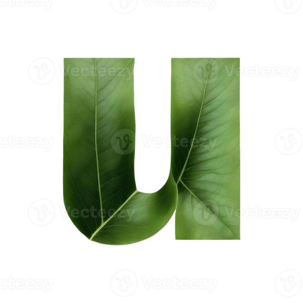 Green leaf typography text design lowercase alphabet u, AI Generative photo