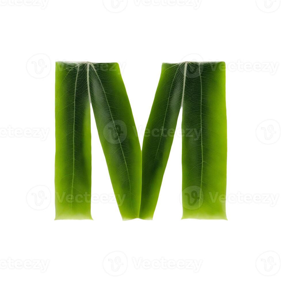 Green leaf typography text design uppercase alphabet , photo