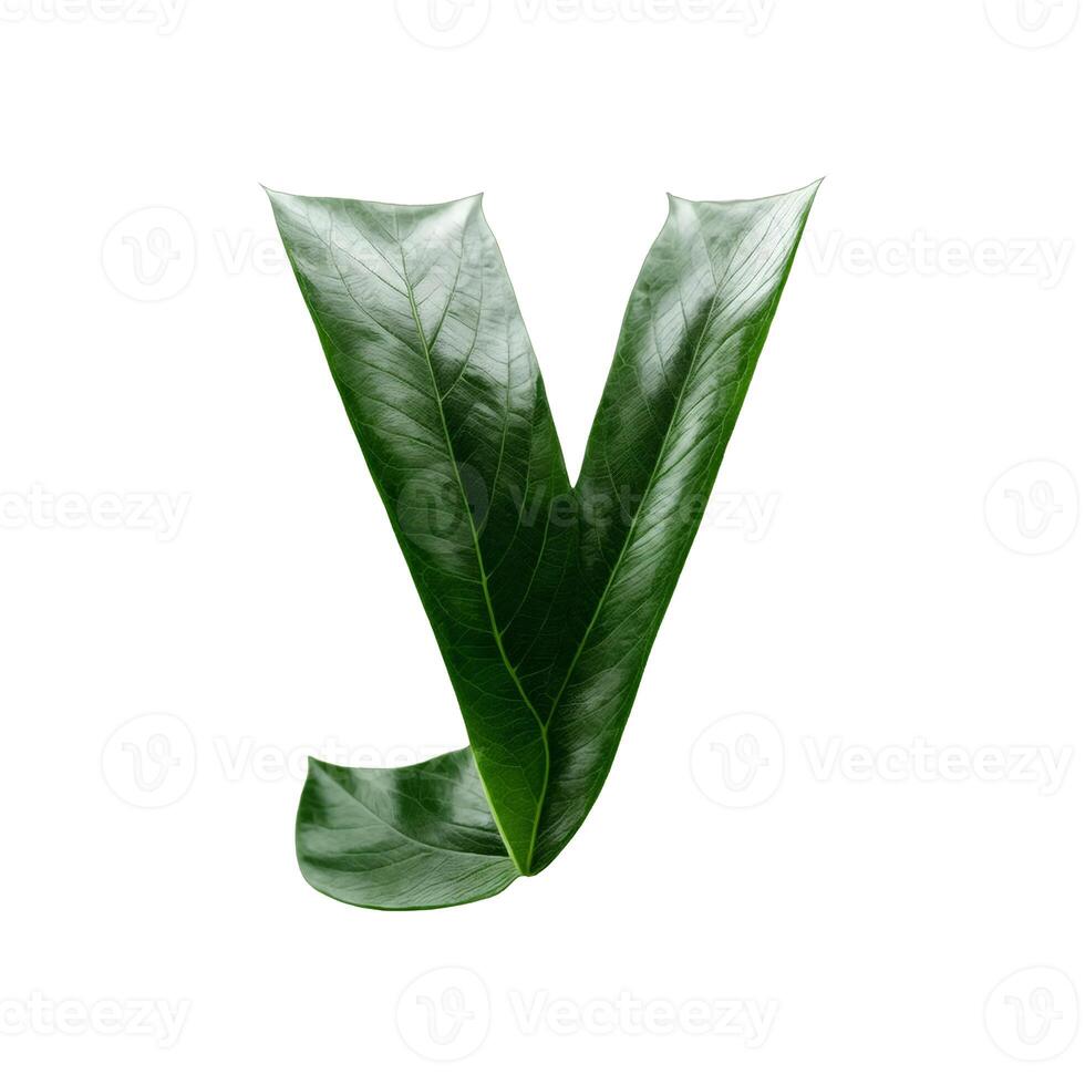 Green leaf typography text design lowercase alphabet y, photo