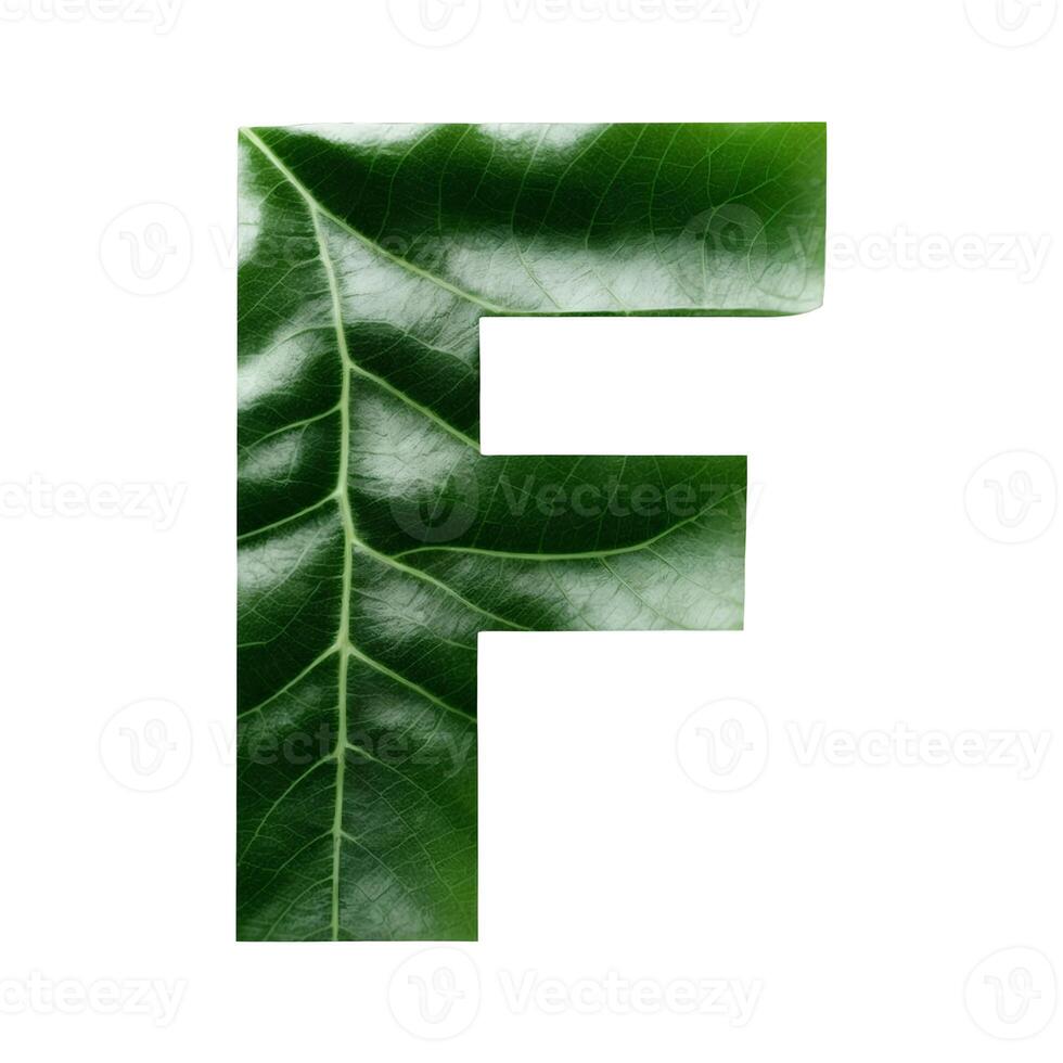 Green leaf typography text design uppercase alphabet F, photo