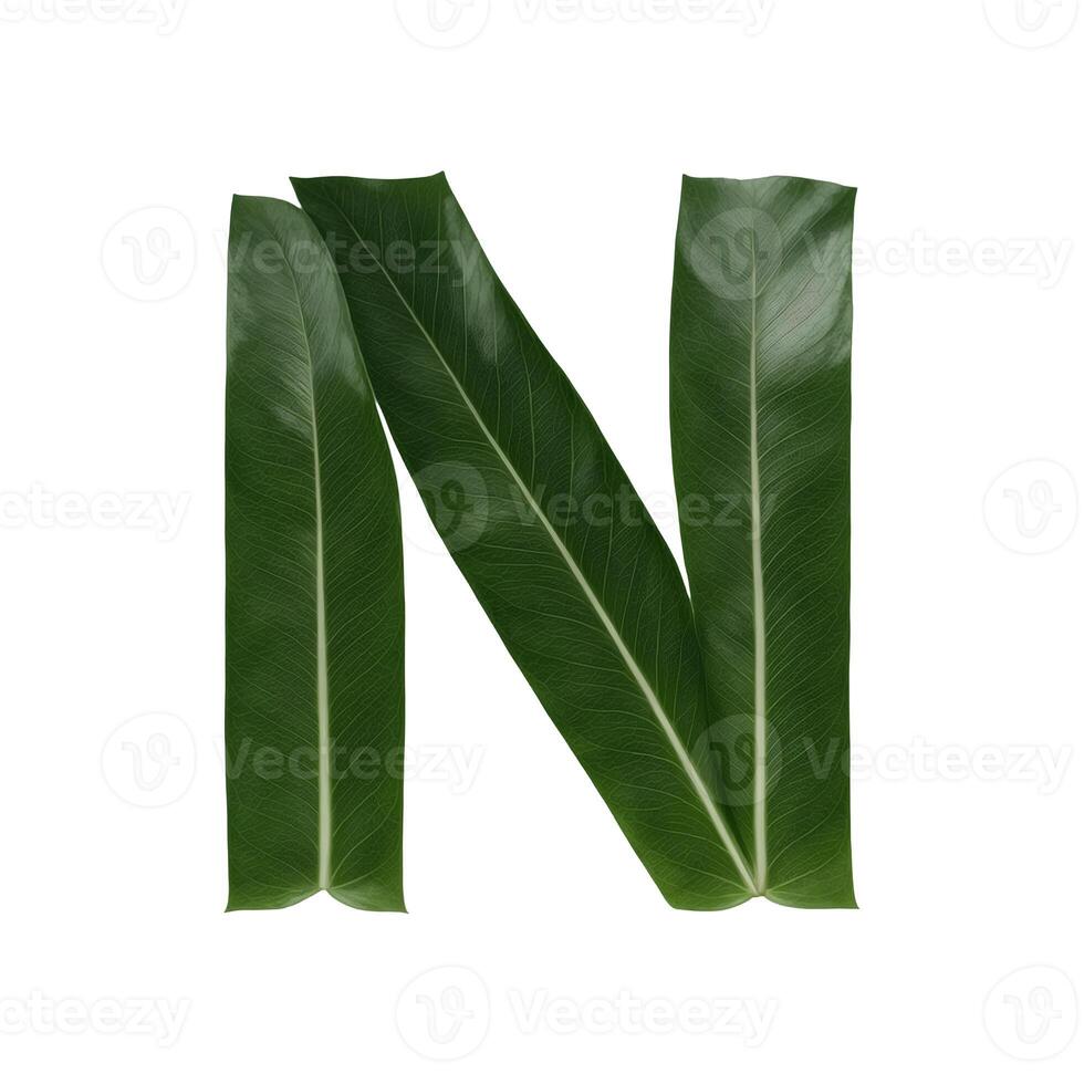 Green leaf typography text design uppercase alphabet N, photo