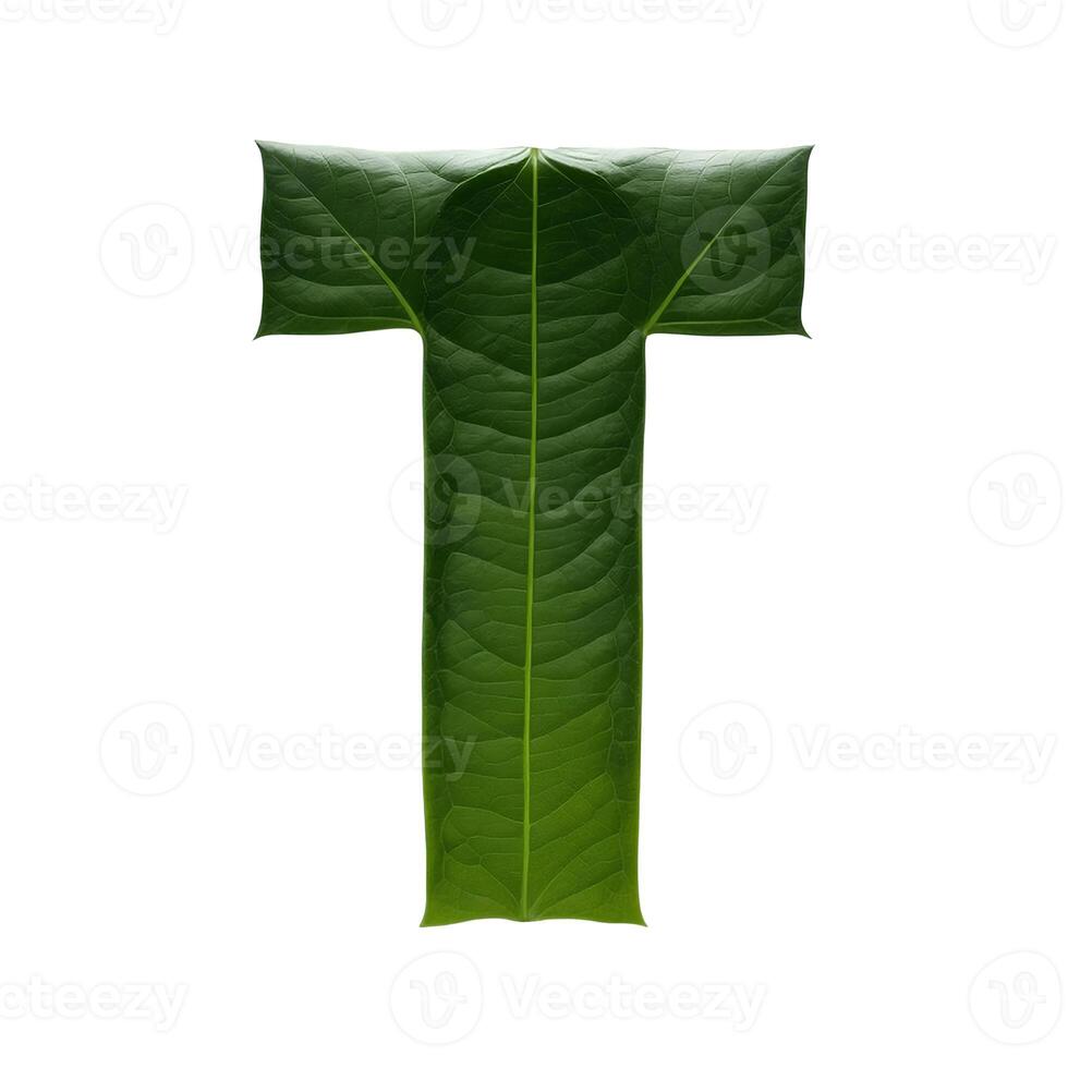 Green leaf typography text design uppercase alphabet T, photo