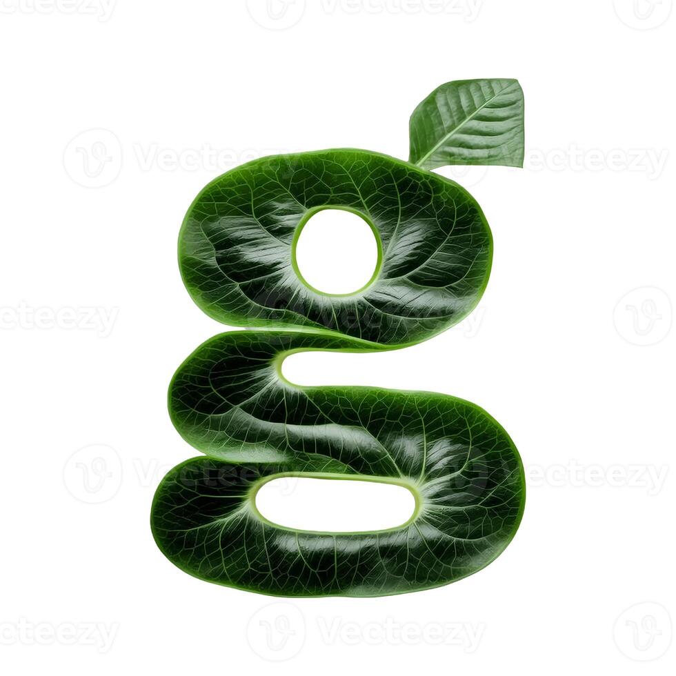 Green leaf typography text design lowercase alphabet g, photo