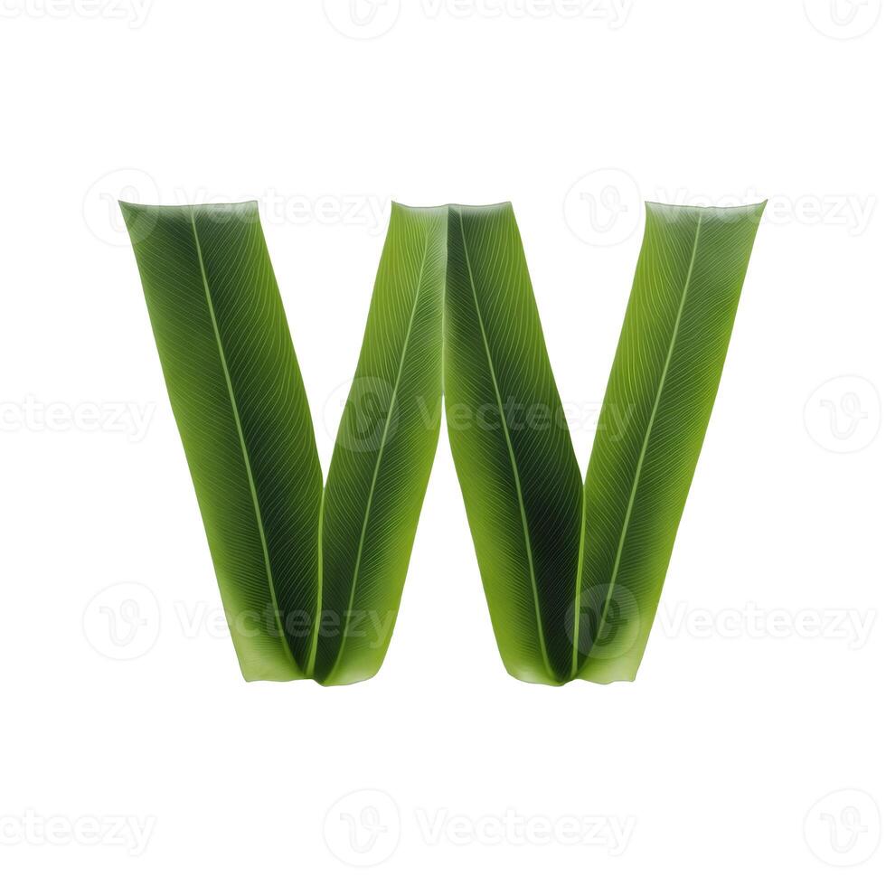 Green leaf typography text design lowercase alphabet w, AI Generative photo