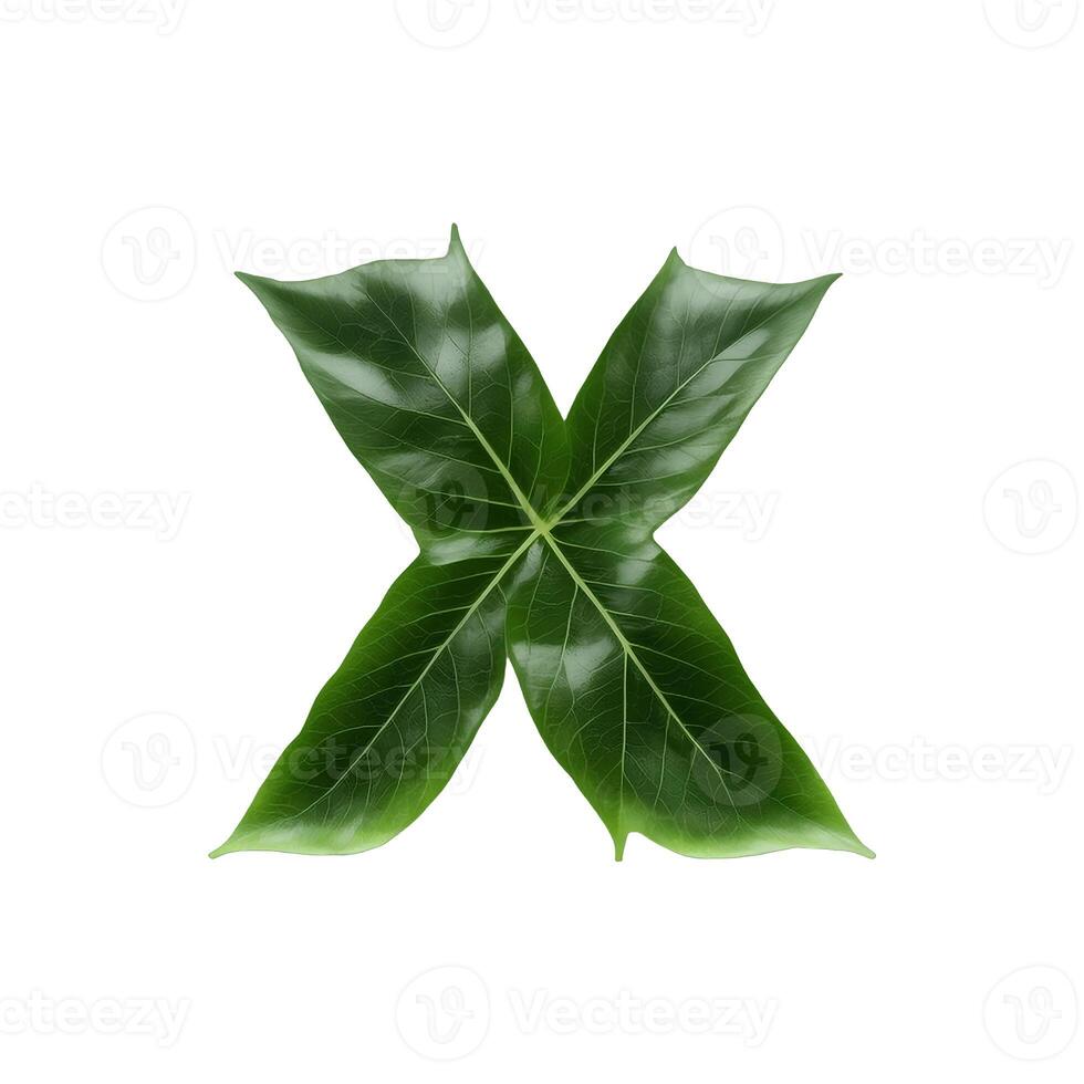 Green leaf typography text design lowercase alphabet x, photo