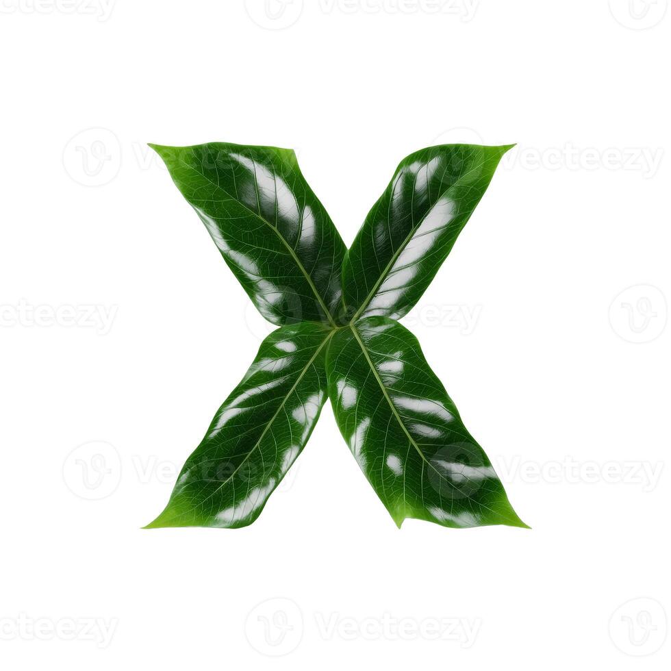 Green leaf typography text design uppercase alphabet X, photo
