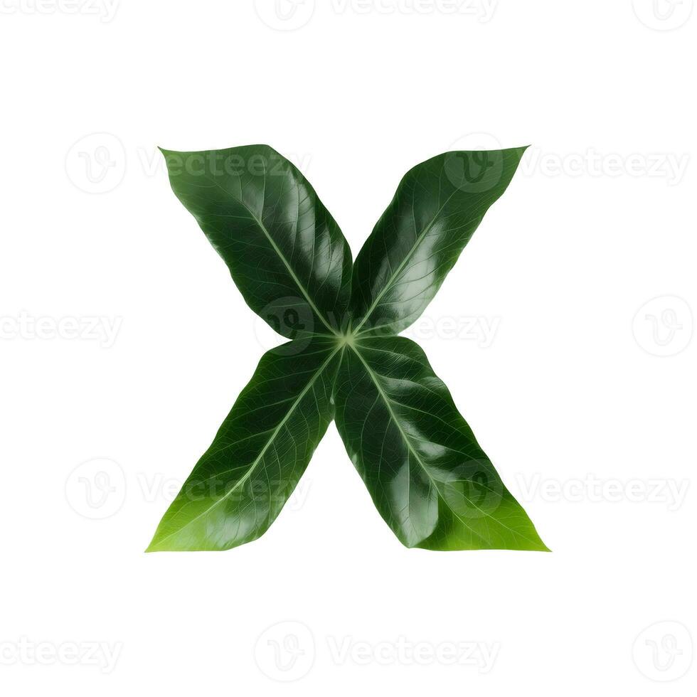 verde hoja tipografía texto diseño mayúscula alfabeto X, ai generativo foto