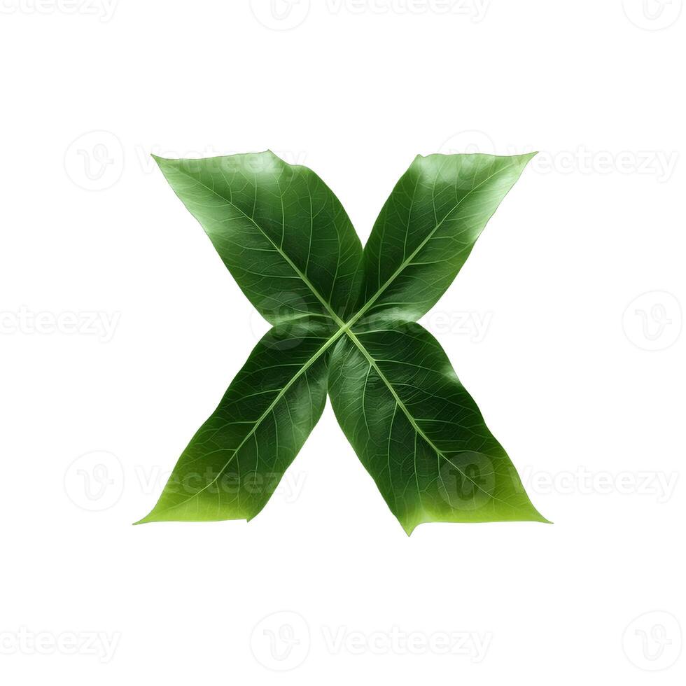 Green leaf typography text design lowercase alphabet x, photo