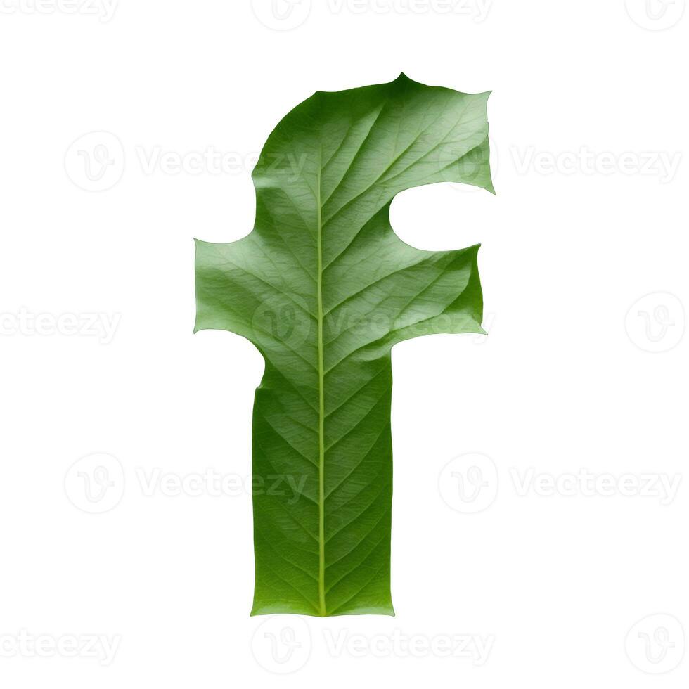 Green leaf typography text design lowercase alphabet f, AI Generative photo