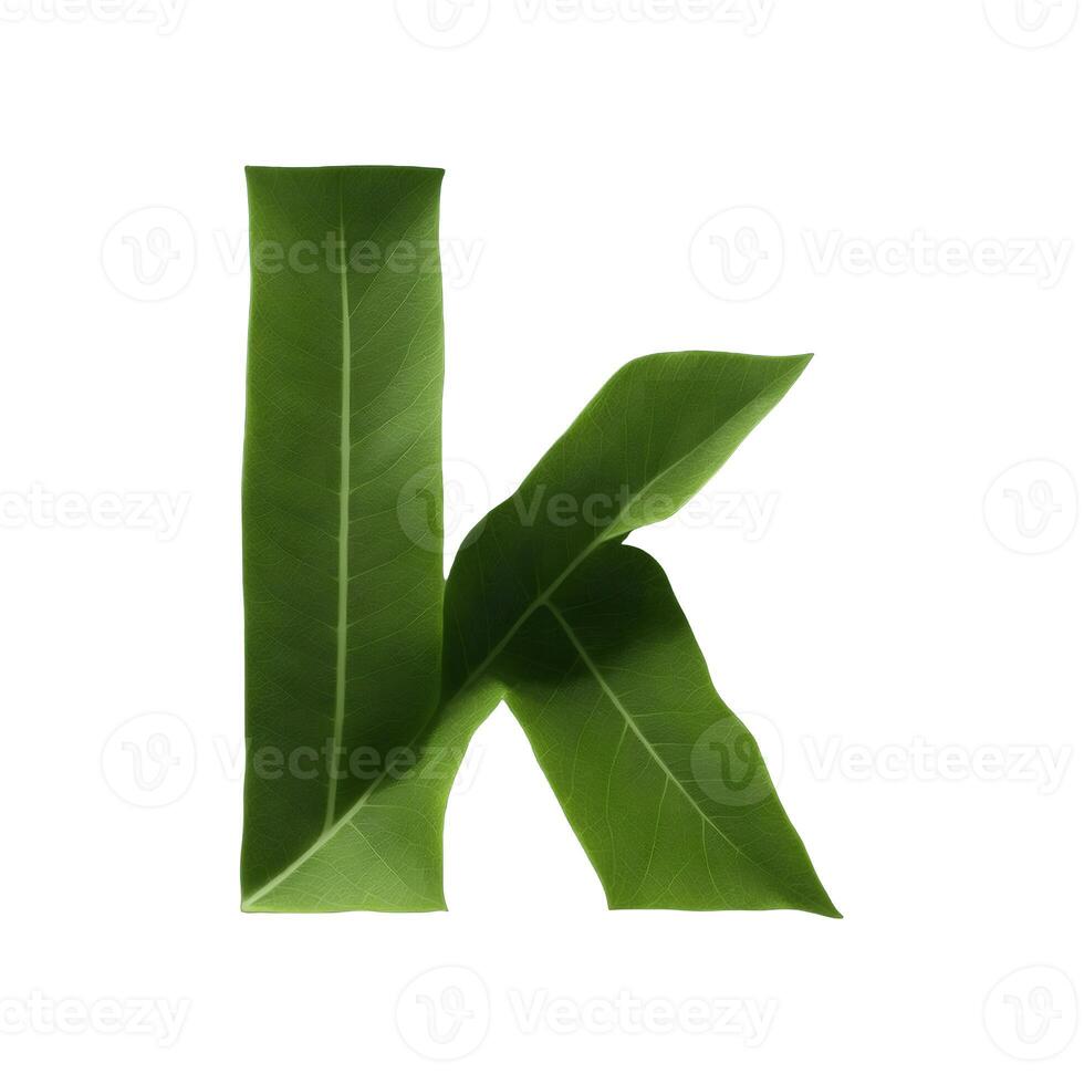Green leaf typography text design lowercase alphabet k, photo