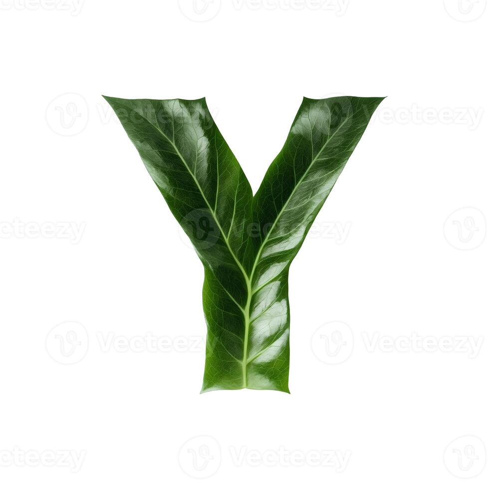 Green leaf typography text design uppercase alphabet Y, photo