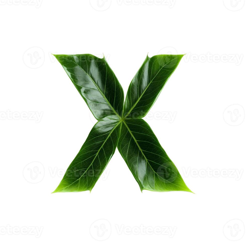 Green leaf typography text design uppercase alphabet X, photo