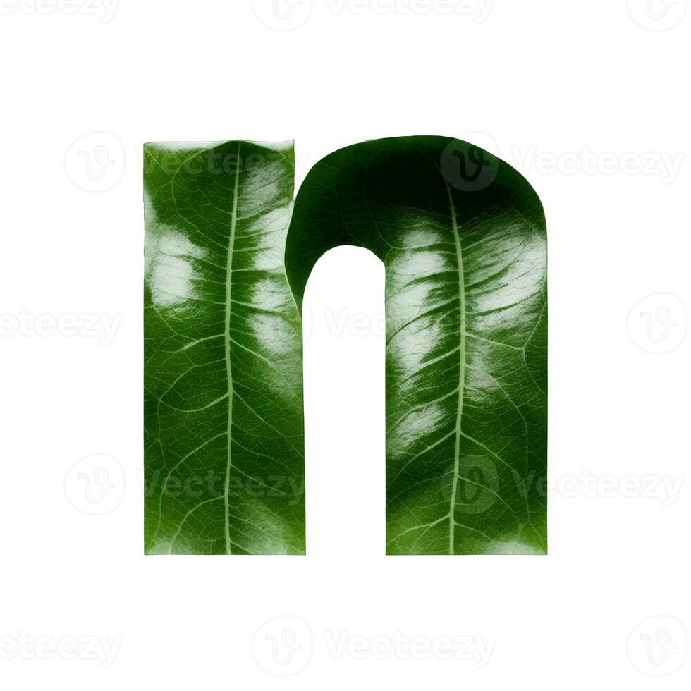 Green leaf typography text design lowercase alphabet n, AI Generative photo
