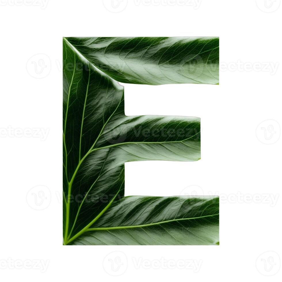 Green leaf typography text design uppercase alphabet E, photo