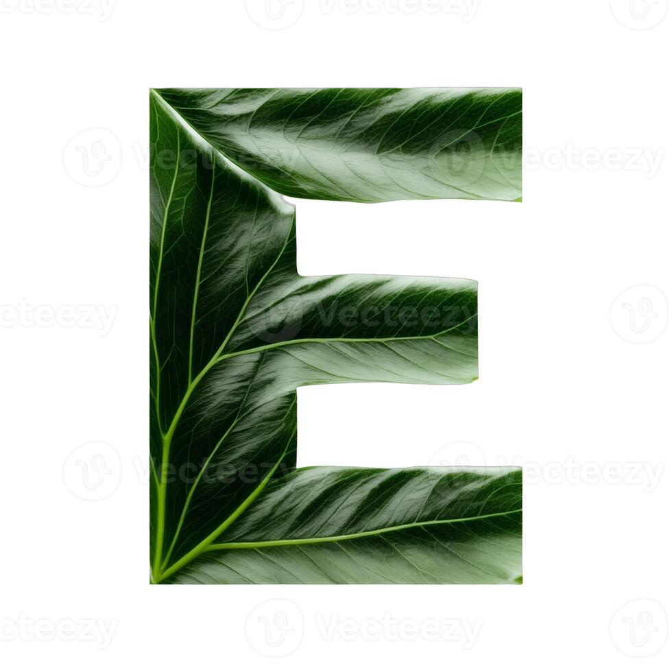 Green leaf typography text design uppercase alphabet E, AI Generative photo