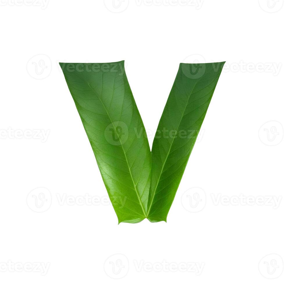 Green leaf typography text design lowercase alphabet v, photo