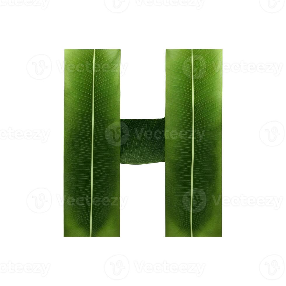 Green leaf typography text design uppercase alphabet H, photo